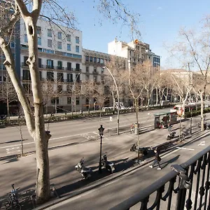 Paseo De Gracia Spain